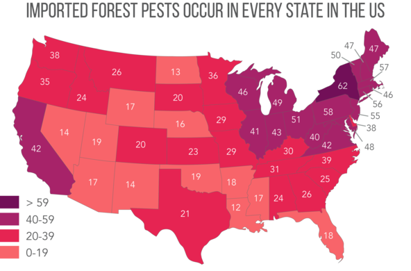 Map: Imported forest pests cc by Leslie Tumblety/Cary Institute