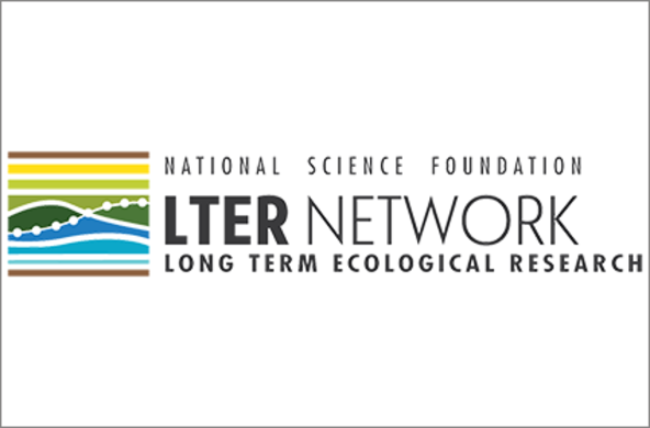 lter