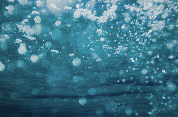 freshwater