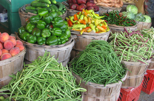 farmers market cc natalie maynor