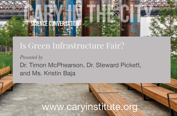 is green infrastructure fair?