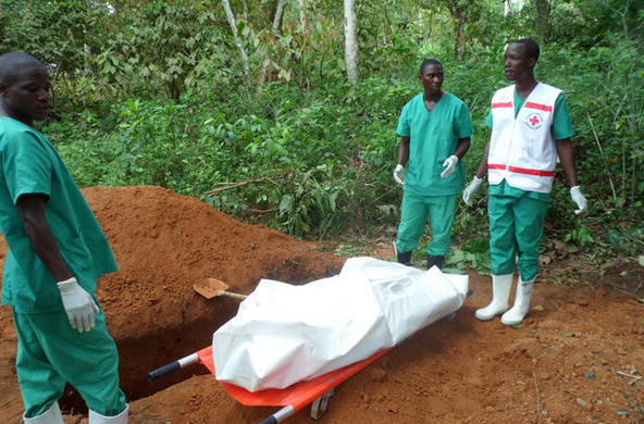 Ebola Panorama