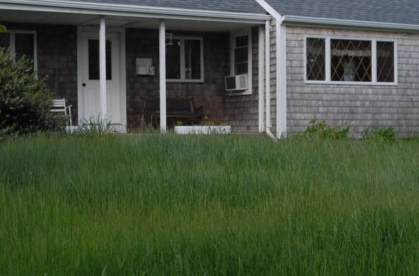 Cut the lawn!