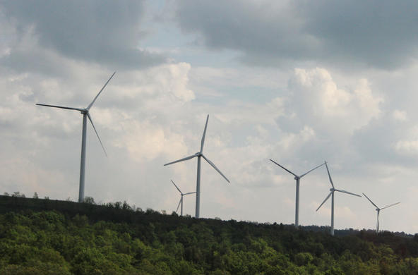 Windmills by Vivian Nguyen