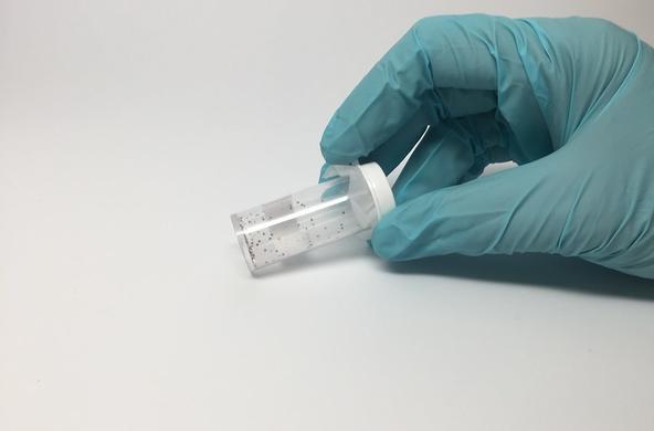 Deer Tick contained 