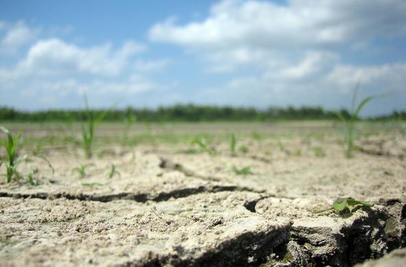 drought