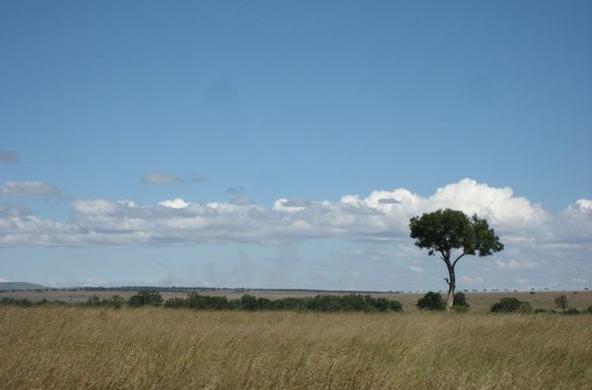 A stressed ecosystem