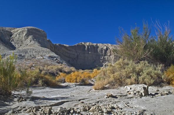 Cali Desert