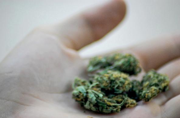 marijuana_cc_katheirne_hitt