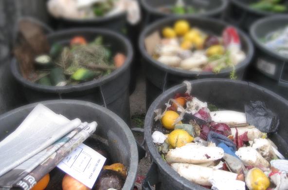 food waste cc pete