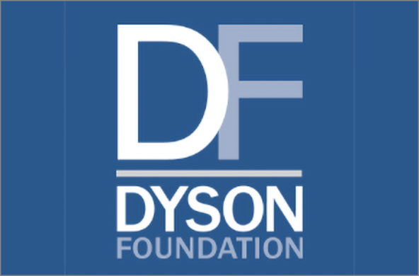 dyson