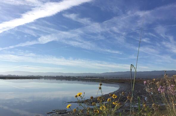 chemtrail