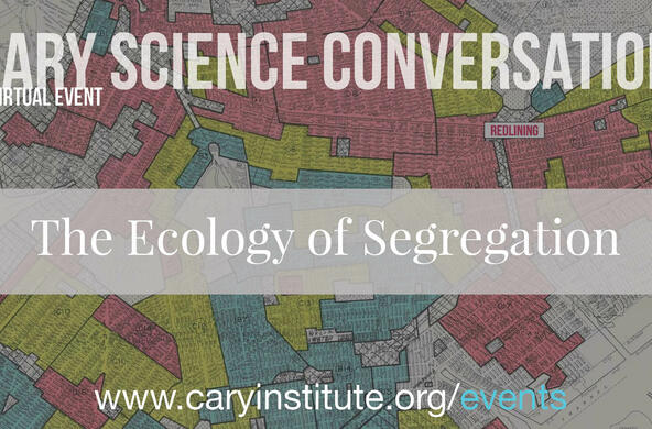 ecology of segregation