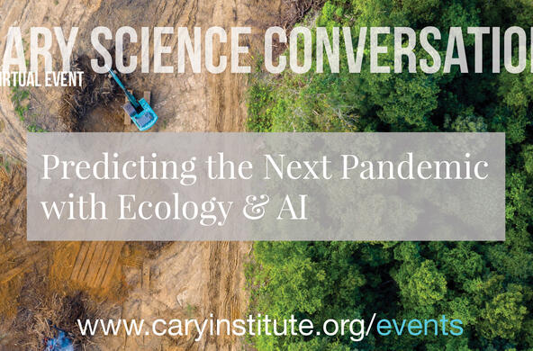 talk predicting the next pandemic