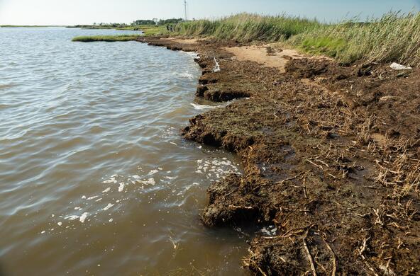 chesapeake bay erosion