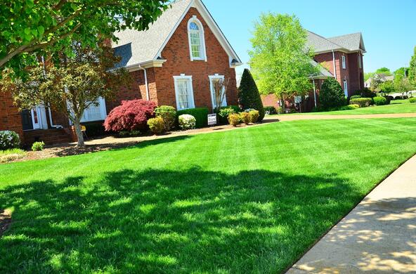 Freshly mowed suburban lawn