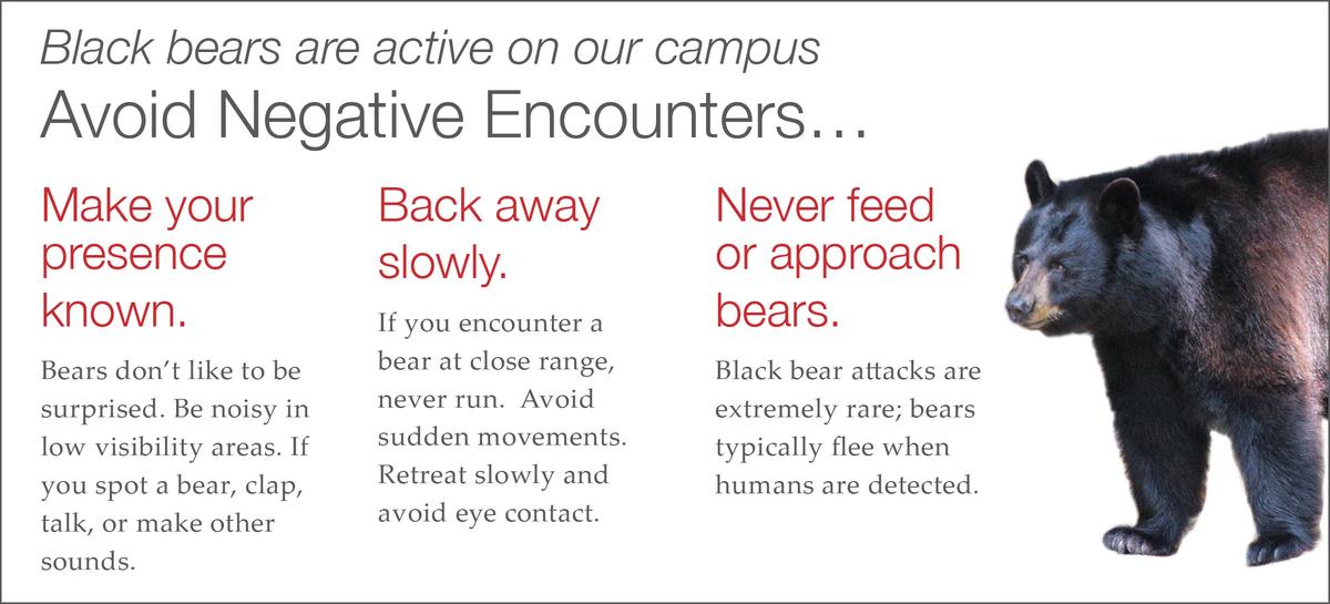 be bear aware