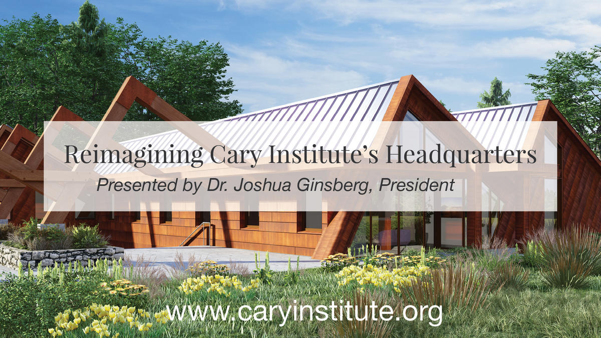 reimaging Cary event