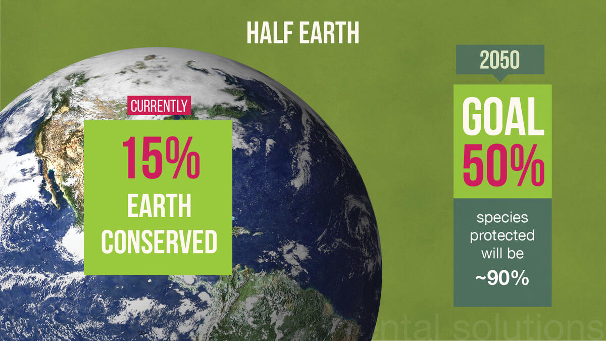 half earth